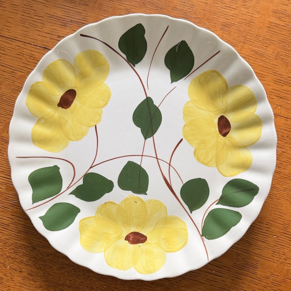 9.5 in Blue Ridge “Ridge Daisy”Southern Potteries White Decorative Plate
